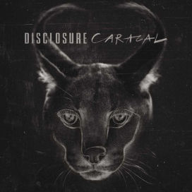 Disclosure - Caracal (CD)