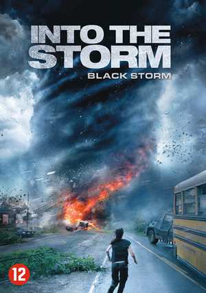 Film - Into The Storm (DVD)