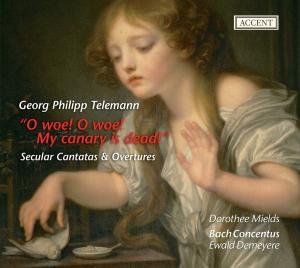 Telemann / Bach Concentus - Secular Cantatas & Overtures (CD)