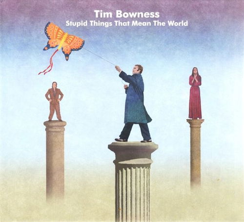 Tim Bowness - Stupid Things That Mean (CD)