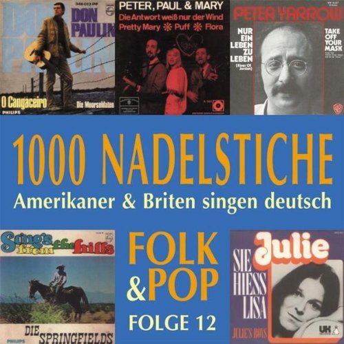 Various - 1000 Nadelstiche 12 (CD)