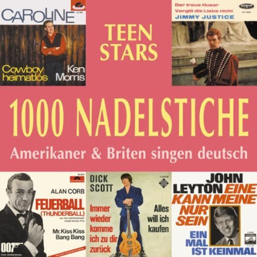 Various - 1000 Nadelstiche 5 (CD)