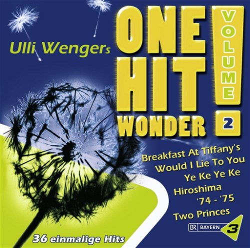 Various - Ulli Wengers One Hit Wonder Volume 2 - 2CD (CD)
