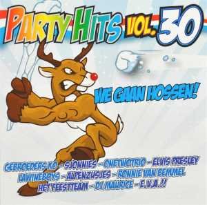 Various - Party Hits 30 (CD)