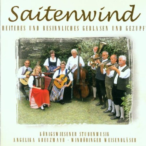 Various - Saitenwind (CD)