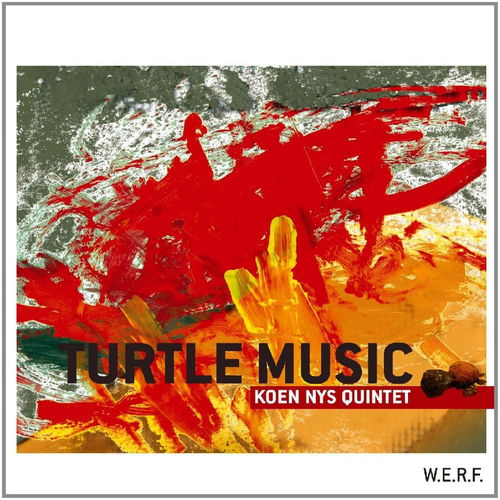 Koen Nys Quintet - Turtle Music (CD)