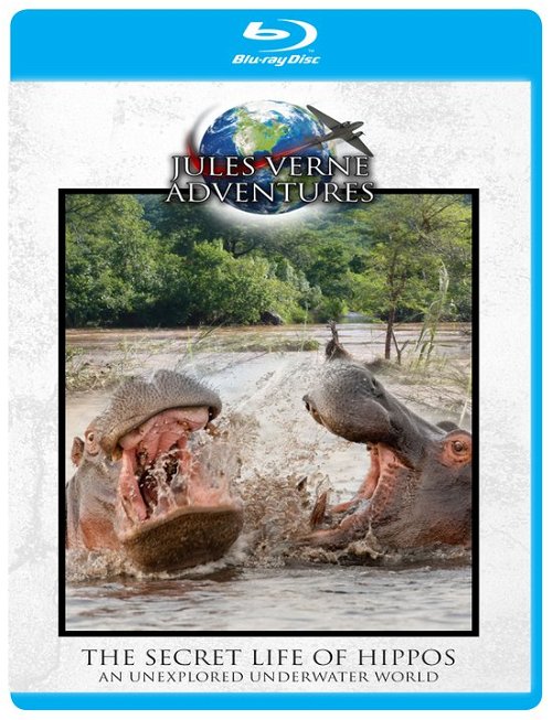 Documentary - Jules Verne Adventures: The Secret Life Of Hippos +DVD (Bluray)