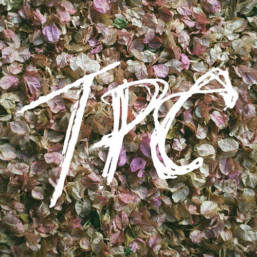 Tokyo Police Club - Tpc (CD)