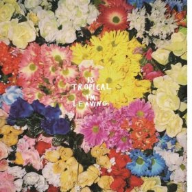 Is Tropical - I'm Leaving (CD)