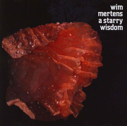 Wim Mertens - A Starry Wisdom (CD)