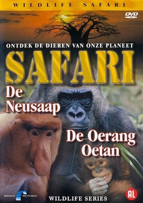 Documentary - Safari Neusaap - Oerang Oetan (DVD)