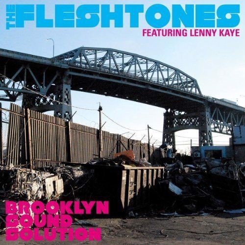 The Fleshtones - Brooklyn Sound Solution (CD)