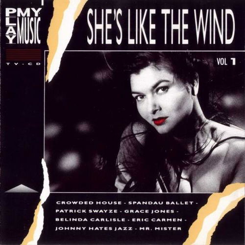 Various - Play My Music - She's Like The Wind (CD)