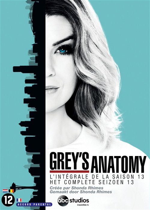 TV-Serie - Grey's Anatomy S13 (DVD)
