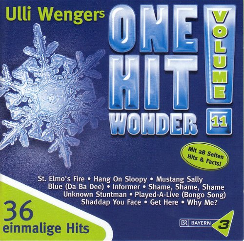 Various - One Hit Wonder 11 (CD)