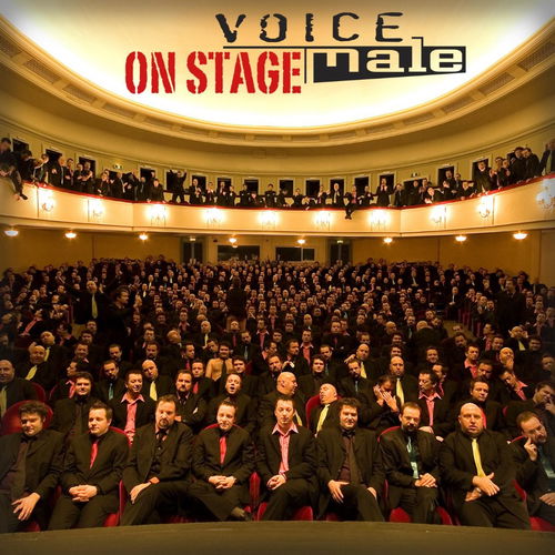 Voice Male - On Stage (CD)