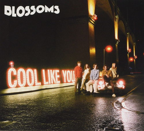 Blossoms - Cool Like You (CD)