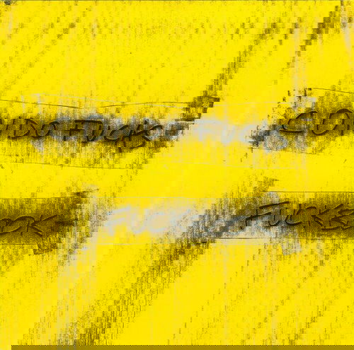 Condo Fucks - Fuckbook (CD)