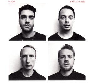Goose - What You Need (CD)