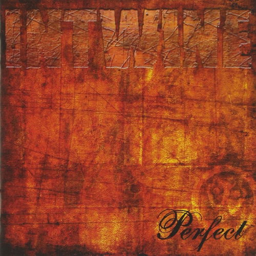 Intwine - Perfect (CD)