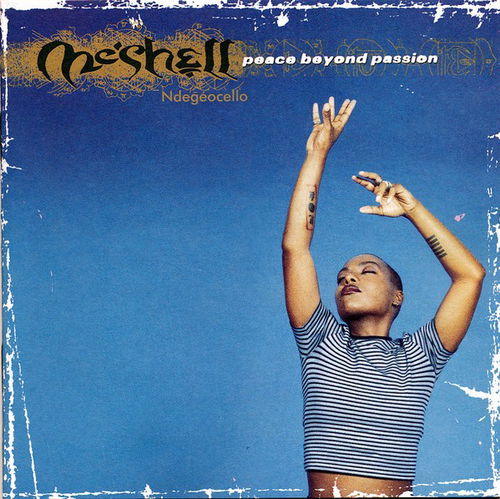 Meshell Ndegeocello - Peace Beyond Passion (CD)