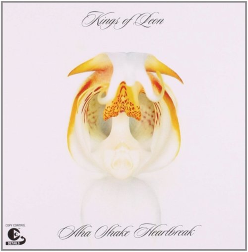 Kings Of Leon - Aha Shake Heartbreak (CD)