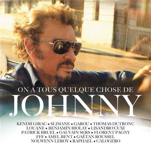 Various - On A Tous Quelque Chose De Johnny - 2LP