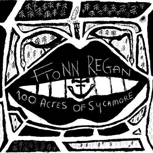 Fionn Regan - 100 Acres Of Sycamore (CD)