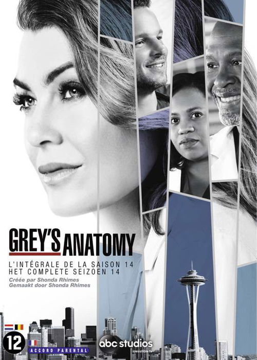 TV-Serie - Grey's Anatomy S14 - 4 disks (DVD)