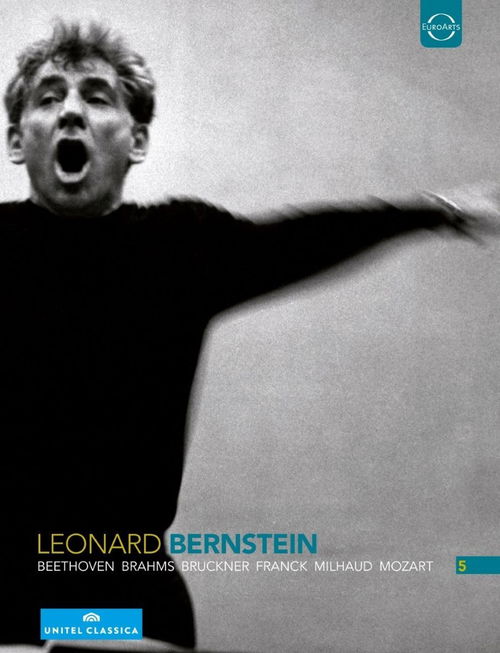 Leonard Bernstein - The Anniversary Edition - Box set (DVD)