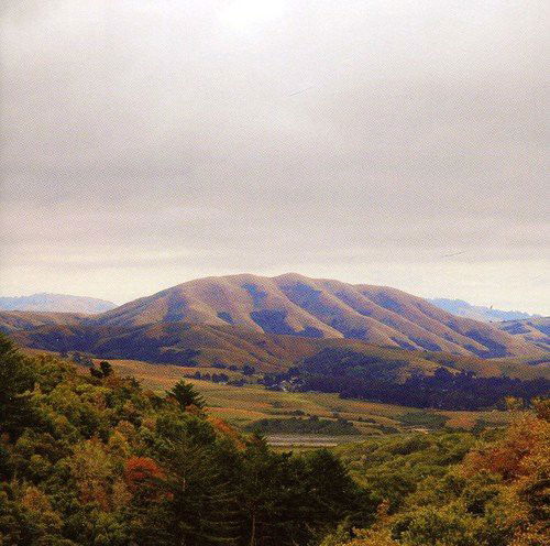 Dirty Projectors & Bjork - Mount Wittenberg Orca (CD)