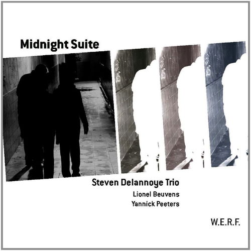 Steven Delannoye Trio - Midnight Suite (CD)