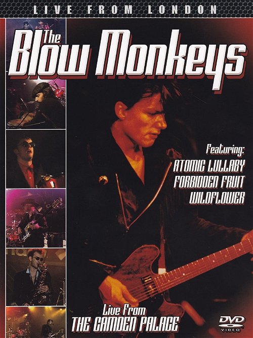 The Blow Monkeys - Live Drom London (DVD)