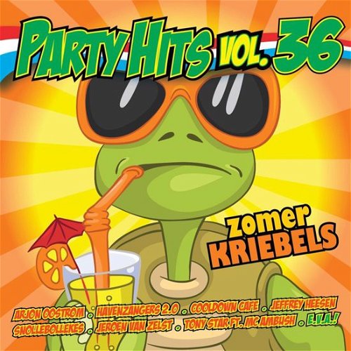 Various - Party Hits Vol.36 (CD)