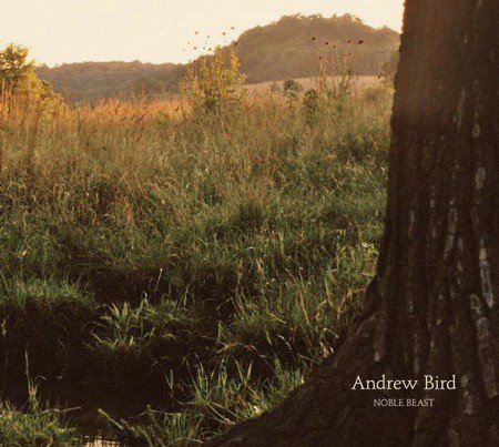 Andrew Bird - Noble Beast (CD)