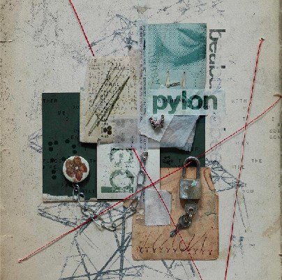 Beabadoobee - Pylon (CD)