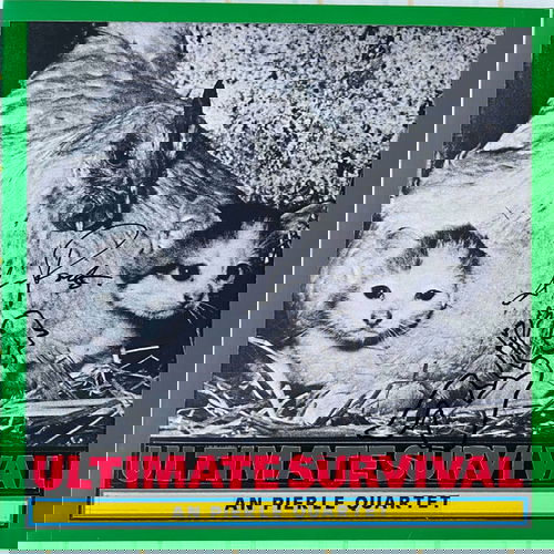 An Pierlé Quartet - Ultimate Survival (LP)