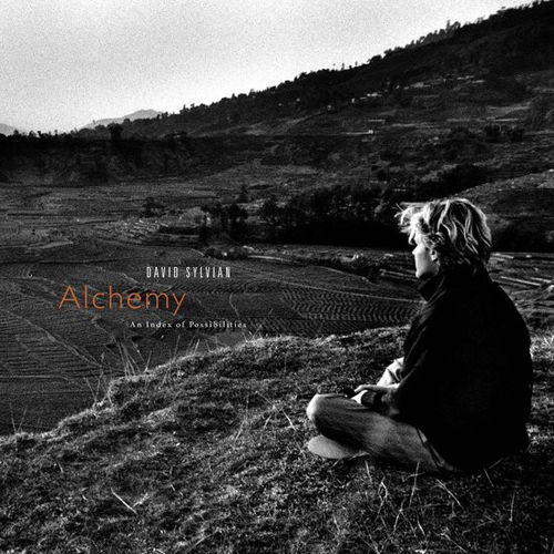David Sylvian - Alchemy An Index Of Possibilities (LP)