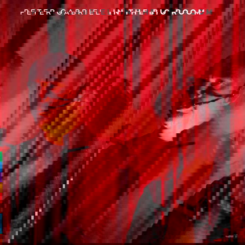 Peter Gabriel - In The Big Room - 2CD (CD)