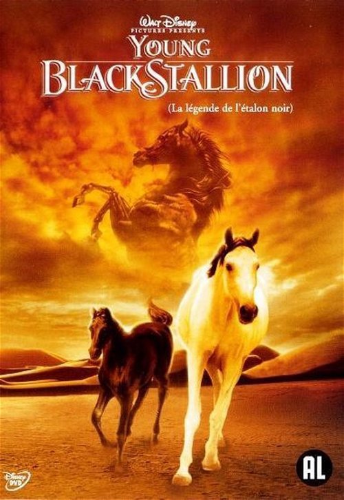 Film - Young Black Stallion (DVD)
