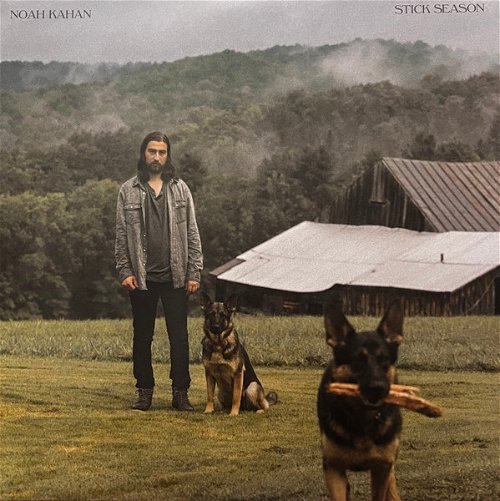 Noah Kahan - Stick Season (Chestnut Vinyl) - 2LP (LP)