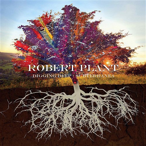 Robert Plant - Digging Deep: Subterranea - 2CD (CD)