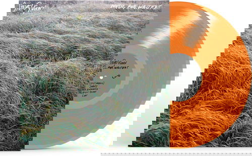 Steve Gunn - Music For Writers (Orange Vinyl) (LP)