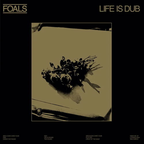 Foals - Life Is Dub (Gold coloured vinyl) RSD23 (LP)