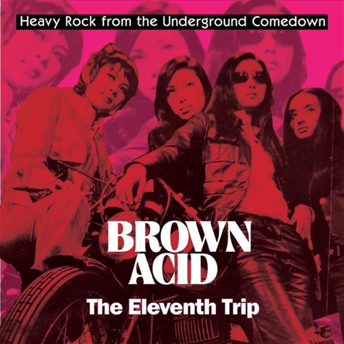 Various - Brown Acid: The Eleventh Trip (LP)