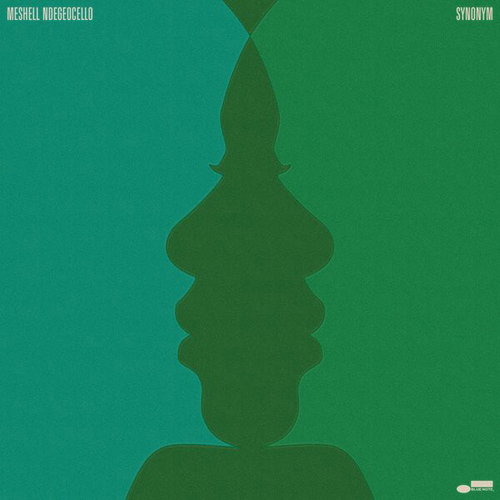 Meshell Ndegeocello - Synonym - 2LP (LP)