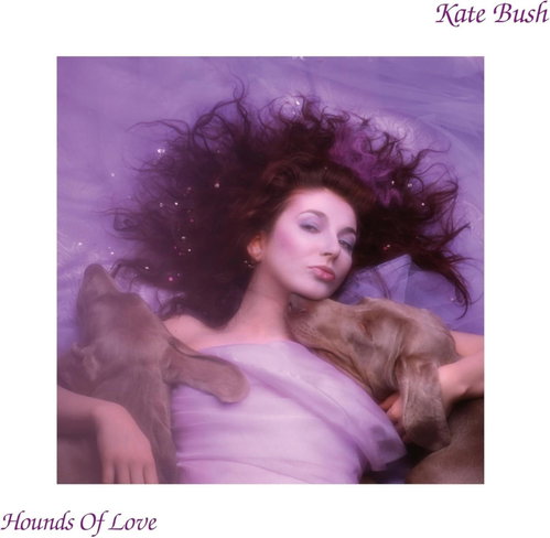 Kate Bush - Hounds Of Love -Coloured Vinyl (LP)