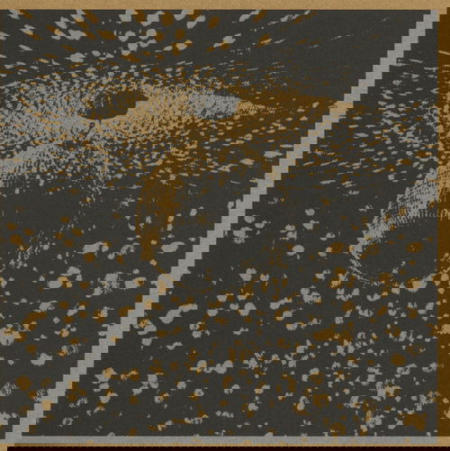 Neil Young - Mirror Ball (CD)