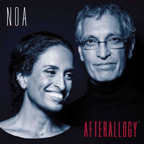 Noa - Afterallogy (LP)