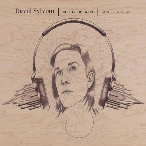 David Sylvian - Died In The Wool - Manafon Variations - 2LP (LP)